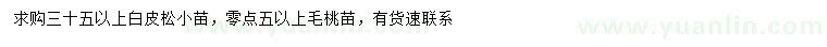 求购35公分以上白皮松小苗、0.5公分以上毛桃树