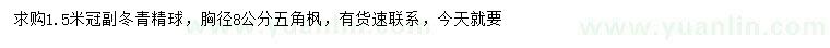 求购冠幅1.5米冬青球、胸径8公分五角枫