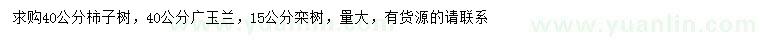 求购柿子树、广玉兰、栾树