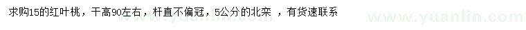 求购15公分红叶桃、北栾