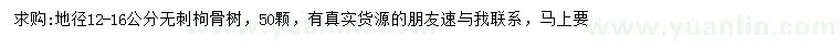 求购地径12-16公分无刺枸骨