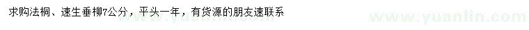 求购7公分法桐、速生垂柳