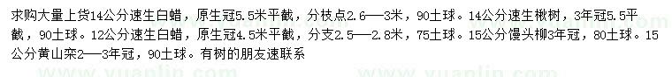 求购速生白蜡、速生楸树、馒头柳等