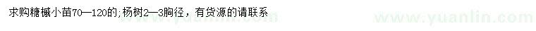 求购70-120公分糖槭小苗、胸径2-3公分杨树