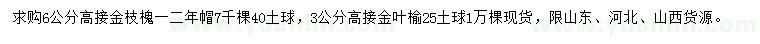 求购6公分高接金枝槐、3公分高接金叶榆