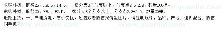 求购胸径20、25公分朴树