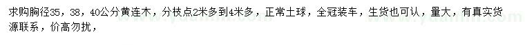 求购胸径35、38、40公分黄连木