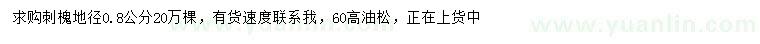 求购地径0.8公分刺槐小苗、高60公分油松