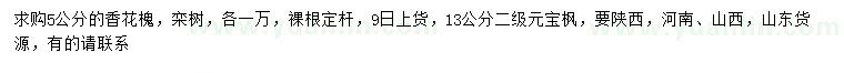 求购香花槐、栾树、元宝枫