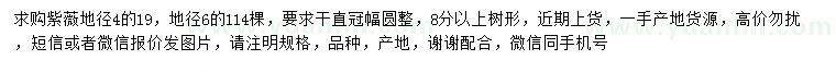 求购地径4、6公分紫薇