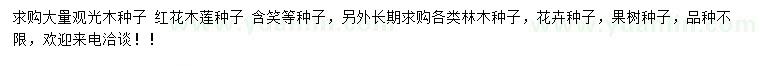 求购观光木种子、红花木莲种子、含笑种子