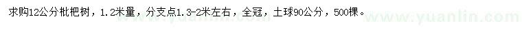 求购1.2米量12公分枇杷树