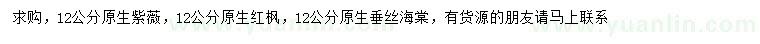 求购原生紫薇、原生红枫、原生垂丝海棠