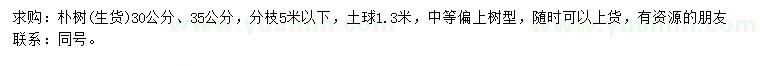 求购30、35公分朴树