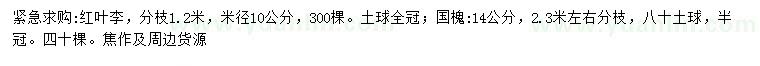 求购米径10公分红叶李、14公分国槐