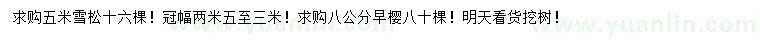 求购5米雪松、8公分早樱