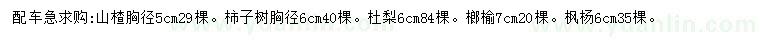 求购山楂、柿子树、杜梨等