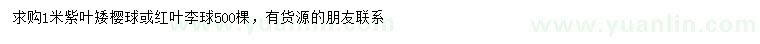 求购1米紫叶矮樱球、红叶李球