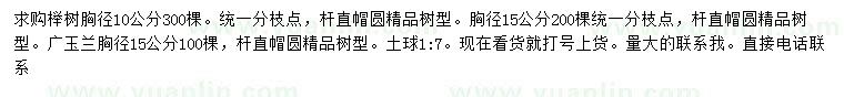 求购胸径10、15公分榉树、胸径15公分广玉兰