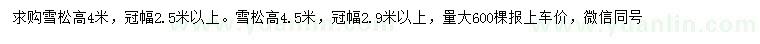 求购高4、4.5米雪松