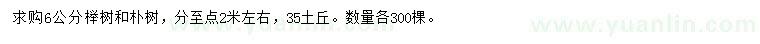 求购6公分榉树、朴树