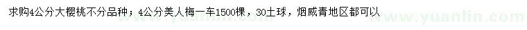 求购4公分大樱桃、美人梅