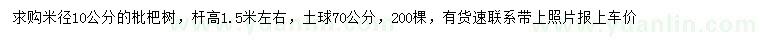 求购米径10公分枇杷树