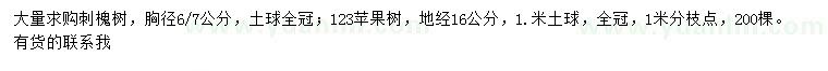 求购胸径6、7公分刺槐、地径16公分123苹果树