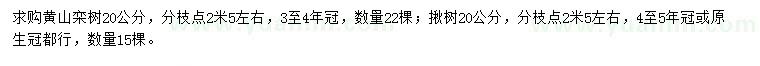 求购20公分黄山栾树、20公分楸树