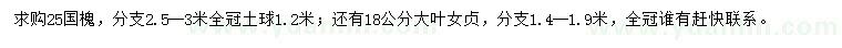 求购25公分国槐、8公分大叶女贞