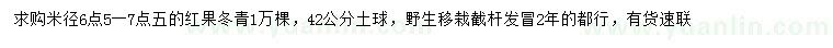 求购米径6.5-7.5公分红果冬青