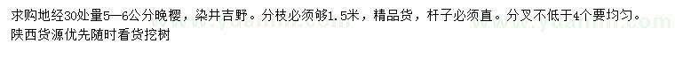 求购30量5-6公分晚樱、染井吉野樱