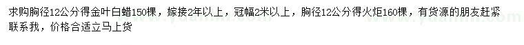 求购胸径12公分金叶白蜡、火炬树