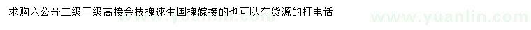 求购6公分二级三级高接金枝槐