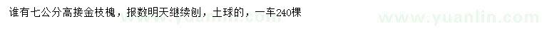 求购7公分高接金枝槐