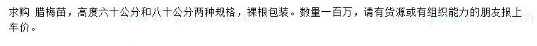 求购高60、80公分腊梅苗