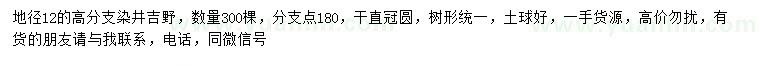 求购地径12公分染井吉野