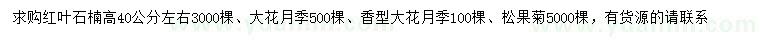 求购红叶石楠、大花月季、松果菊