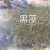 黑藻/眼子菜/水生植物黑藻行情/浙江杭州山大量黑藻行情价格