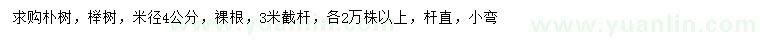 求购米径4公分朴树、榉树