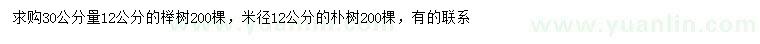 求购30量12公分榉树、米径12公分朴树