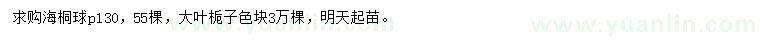 求购海桐球、大叶栀子色块