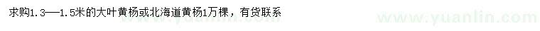 求购1.3-1.5米大叶黄杨、北海道黄杨