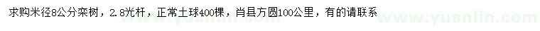 求购米径8公分栾树