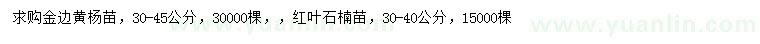 求购30-45公分金边黄杨苗、红叶石楠苗