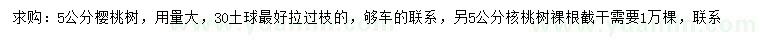 求购5公分樱桃树、核桃树