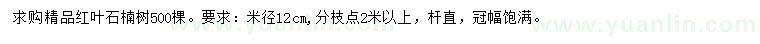 求购米径12公分红叶石楠