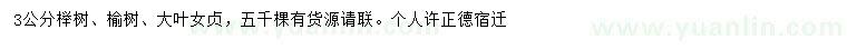 求购3公分榉树、榆树、大叶女贞