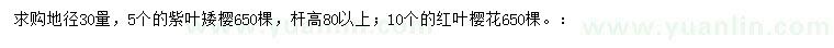 求购紫叶矮樱、红叶樱花