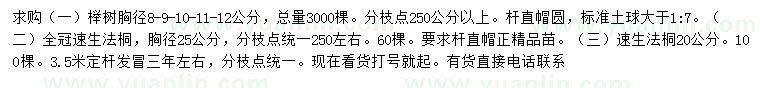 求购胸径8-9-10-11-12公分榉树、胸径20、25公分法桐